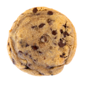 Signature Chocolate Chip