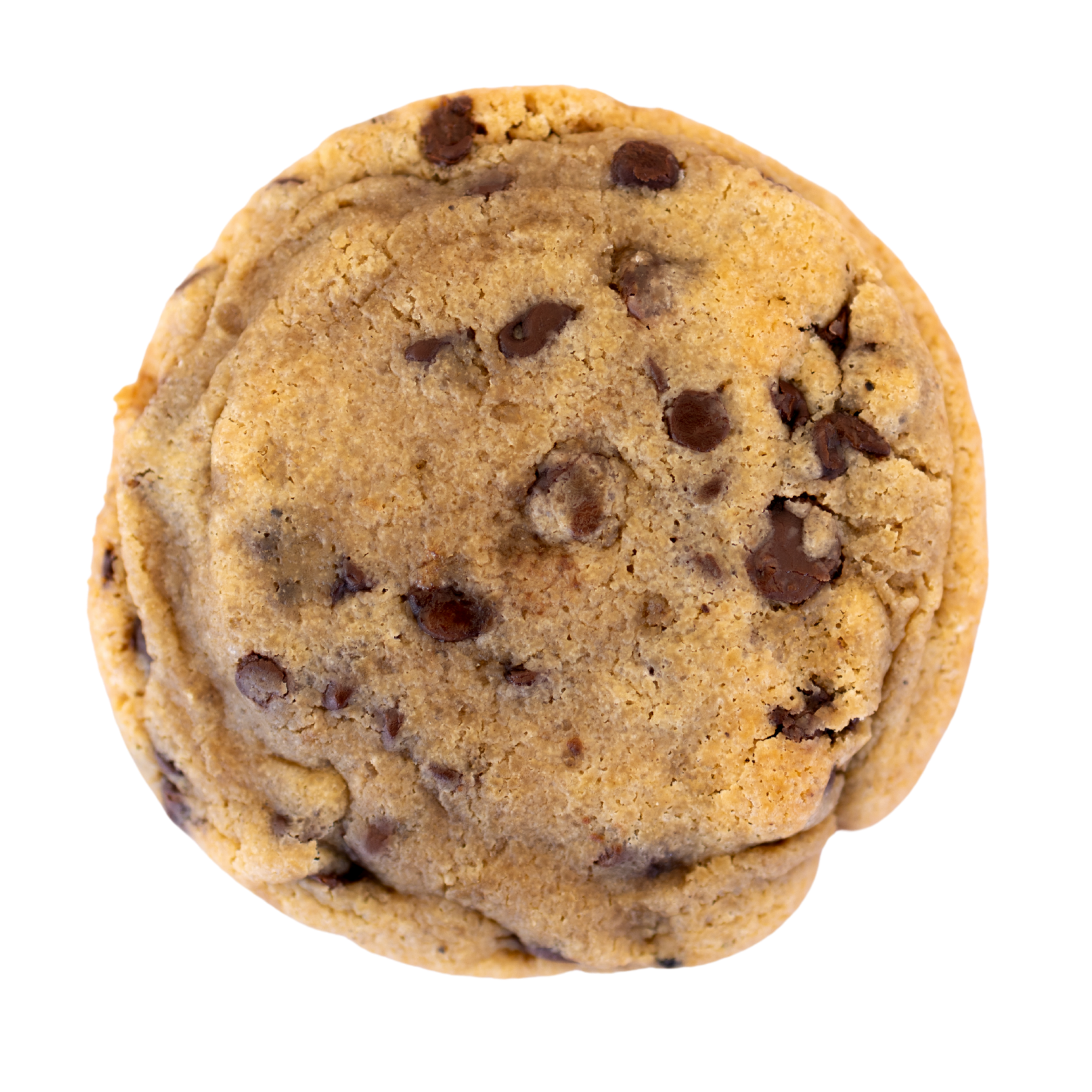 Signature Chocolate Chip